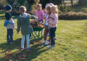 przedszkolaki wrzucają liście do taczki